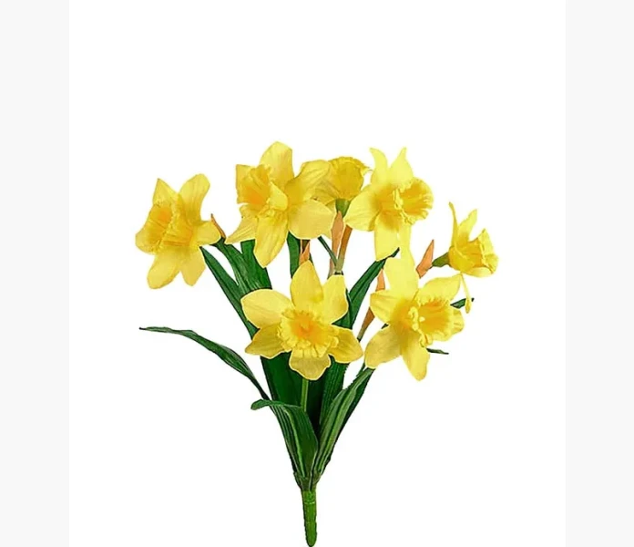 Pasklilja 40cm v2 kuva