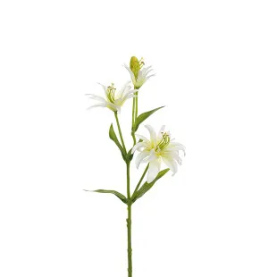 Påsklilja 40cm image