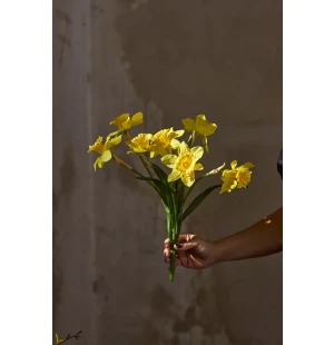 Påsklilja 40cm kuva