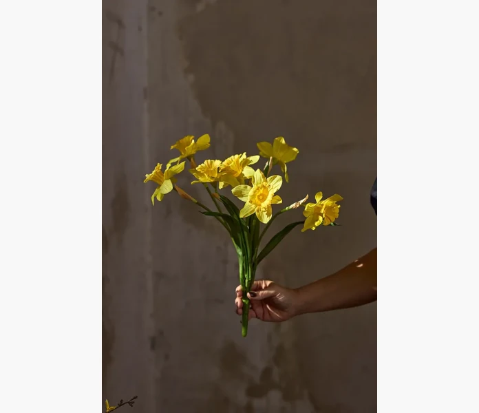 Pasklilja 40cm  kuva