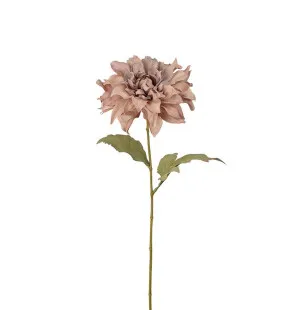 Dahlia lila, 60cm image