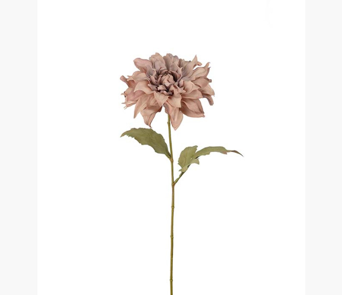 Dahlia lila 60cm image