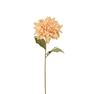 Dahlia beige, 60cm image