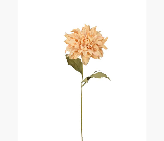 Dahlia beige 60cm image