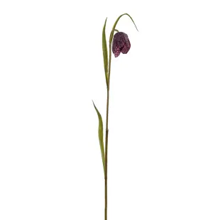 Frittilaria röd, 35 cm image