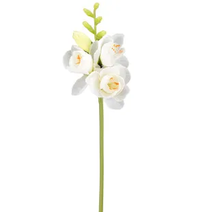 Freesia vit, 30cm image