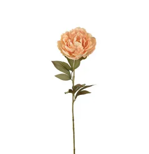Pion beige, 65cm image