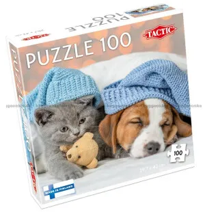 Pussel Söt katt, sovande hund 100 bitar image