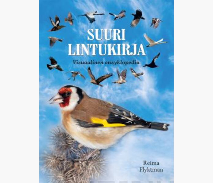Suuri lintukirja Visuaalinen ensyklopedia kuva