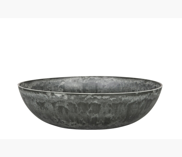 Skal delicata gra kuva