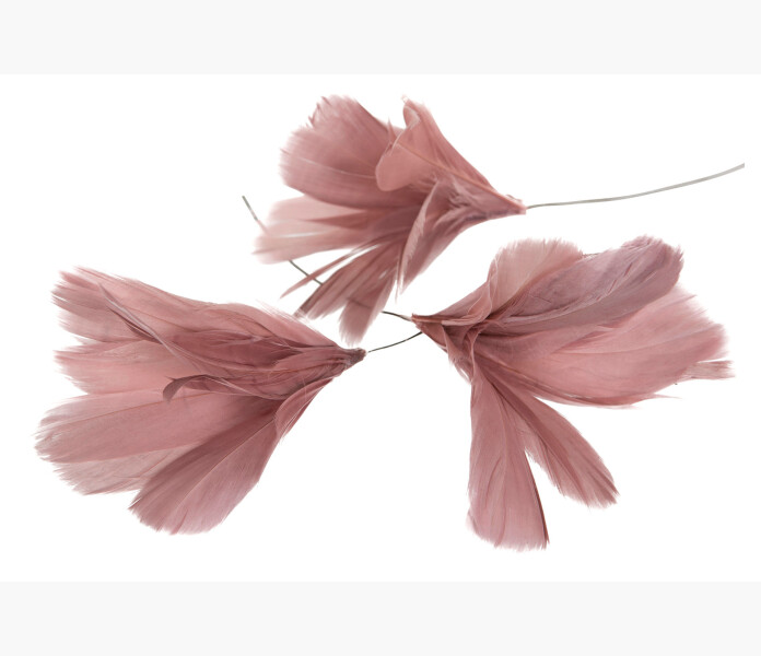 Fjadrar blom gammelrosa 12 st. image