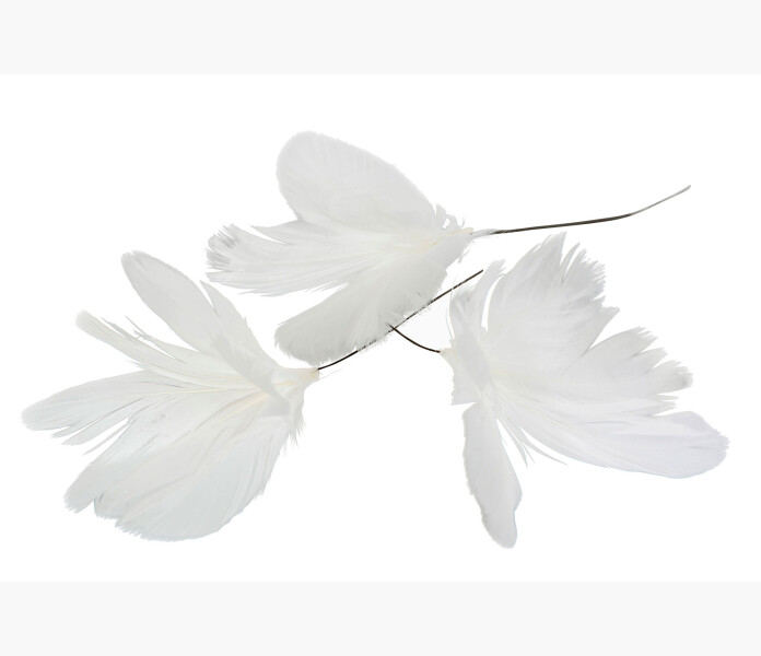 Fjarder Blom vita 12 st. kuva