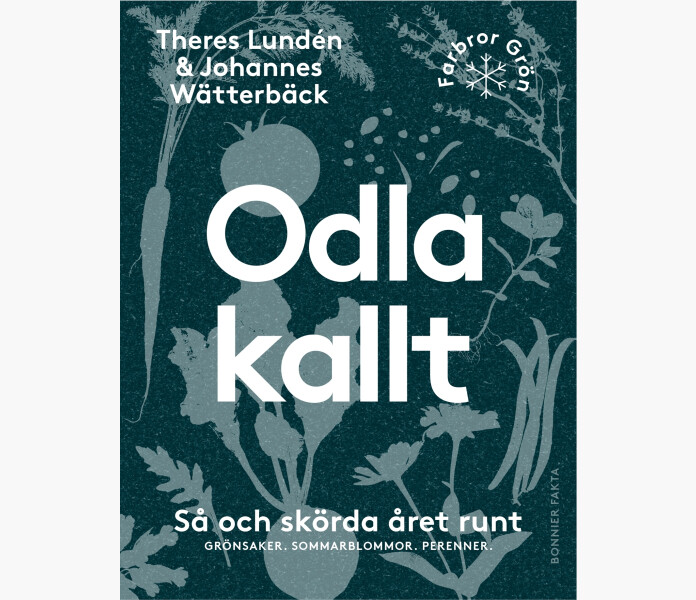 odla kallt image