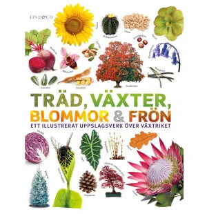 Träd, växter, blommor & frön image
