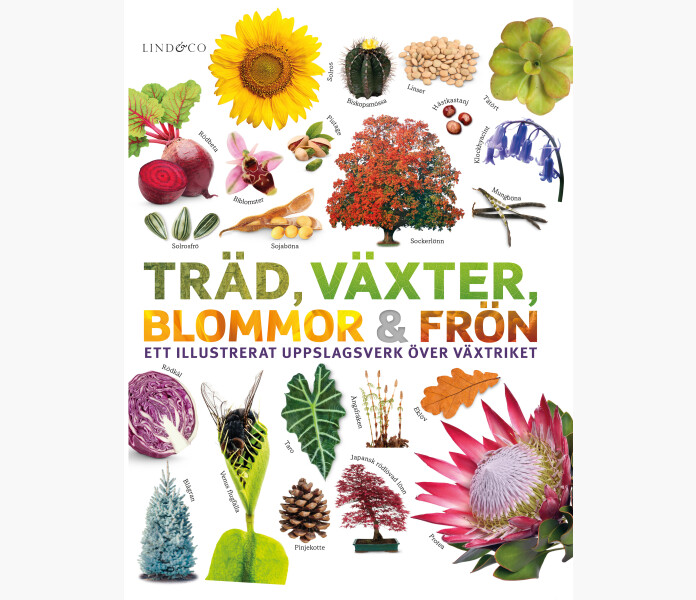 Trad vaxter blommor fron kuva