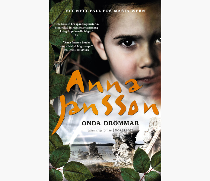 Onda drommar. Maria Wern del 23. image