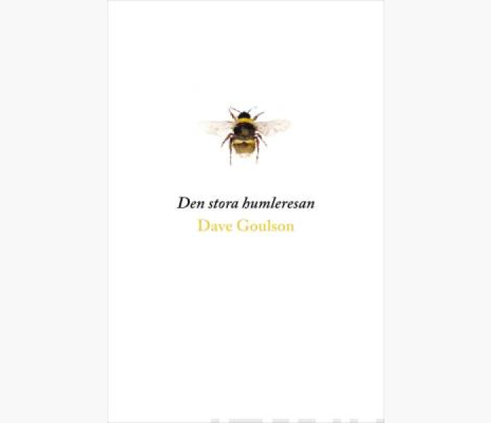 Fraga forst varfor Hitta din mening och inspirera. Sinek Simon 2018. image