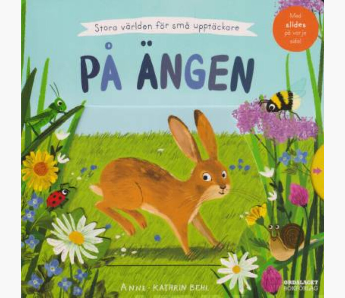 Pa angen. Behl Anne Kathrin 2023. image