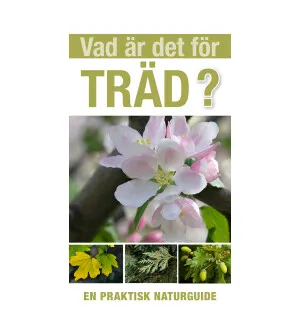 Vad är det för träd kuva
