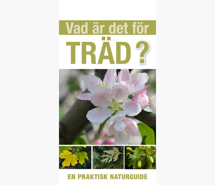 Vad ar det for trad kuva