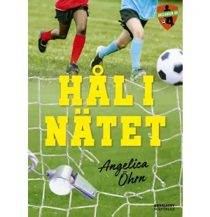 Hål i nätet image