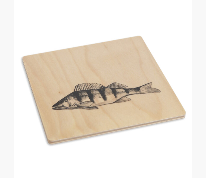 Miiko Grytunderlagg Aborre kuva