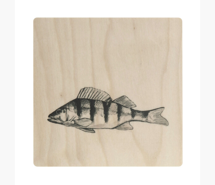 Miiko Glasunderlagg Abborre image