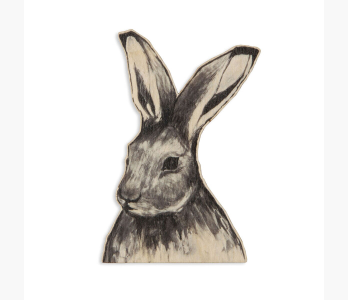 Miiko Magnet hare kuva