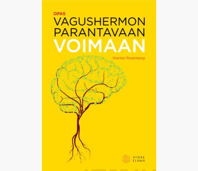 Opas vagushermon kuva