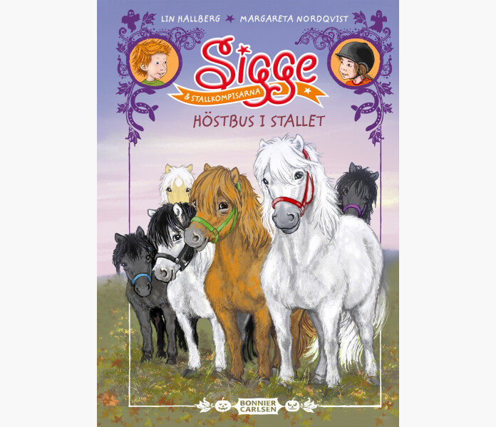 Sigge Hostbus i stallet kuva