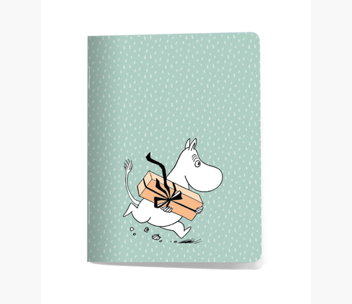 Hafte Mumin och paket 9 x 12cm linjer image