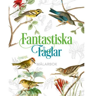 Fantastiska fåglar - Målarbok kuva