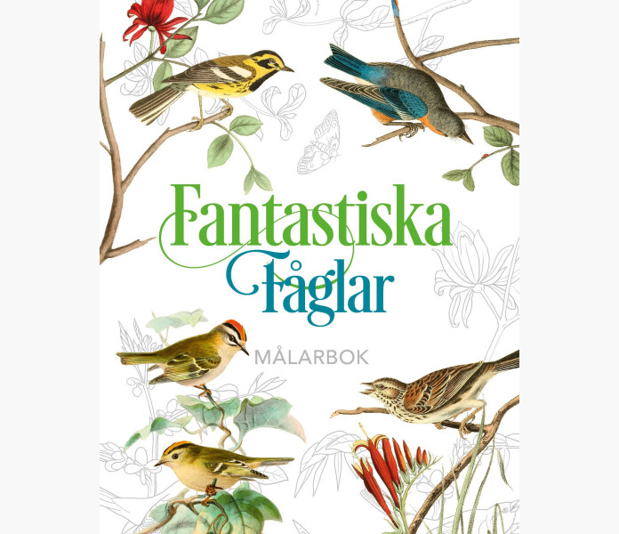 Fantastiska faglar kuva