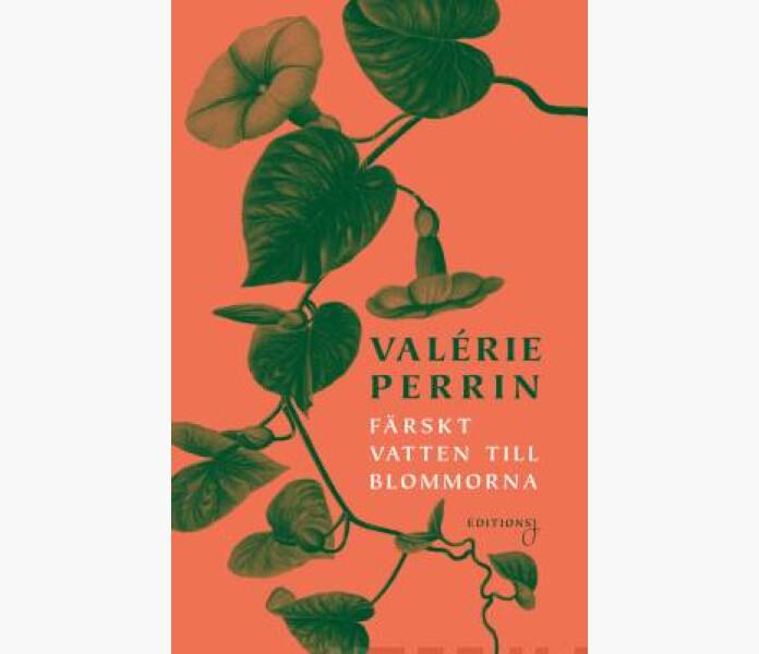 Farskt vatten till blommorna kuva