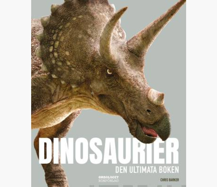 Dinosaurier image