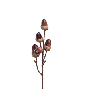 Kvist med ekollon 30 cm image