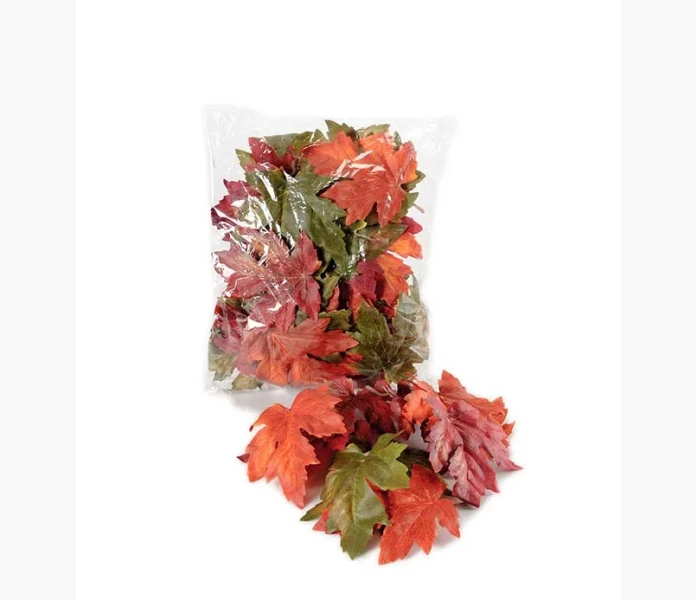 Hostlov 45st 11 13 cm kuva