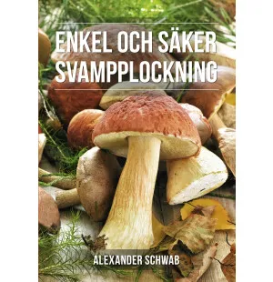 Enkel och säker svampplockning image