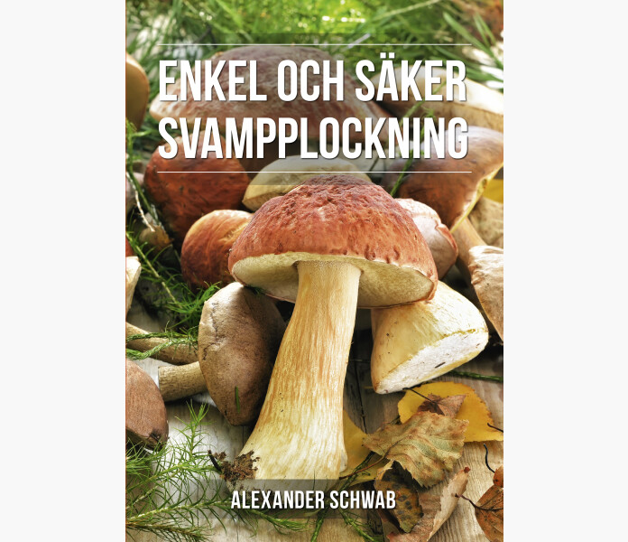 Enkel och saker svampplockning image