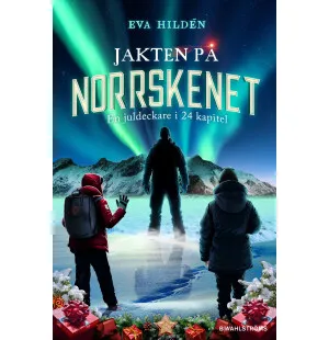 Jakten på norrskenet  en juldeckare i 24 kapitel image