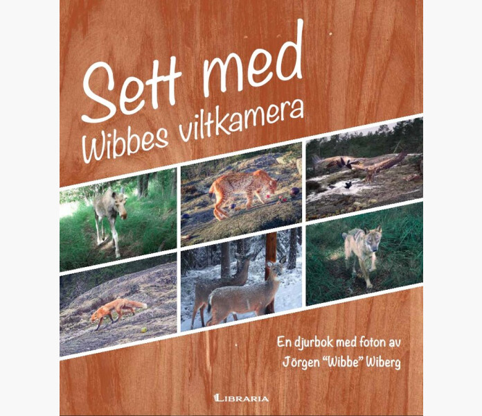 Sett med Wibbes viltkamera image