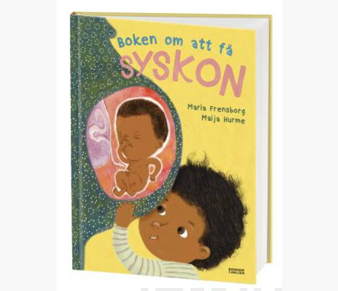 Boken om att fa syskon image