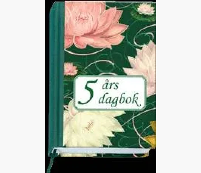 5 ars dagbok image