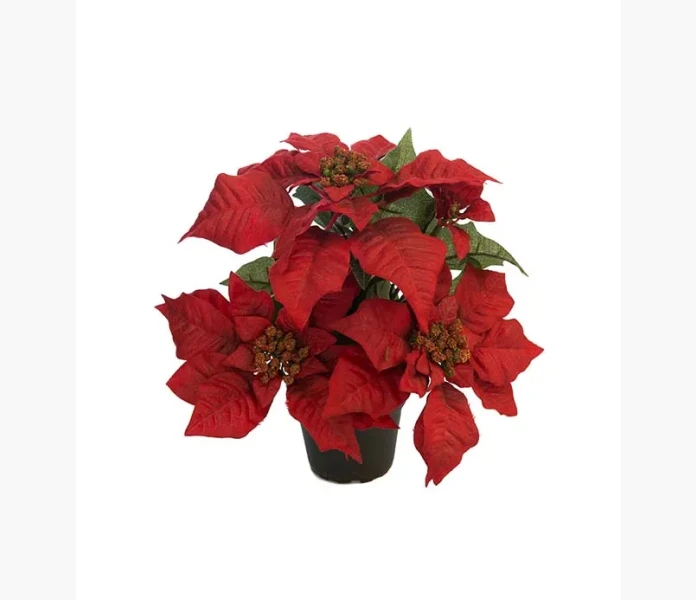 Julstjarna rod 35cm kuva