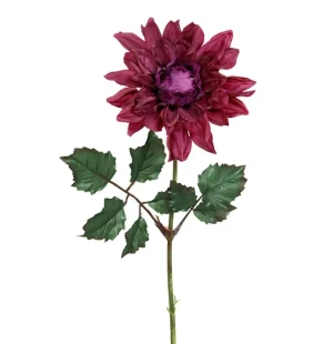 DAHLIA KONSTVÄXT kuva