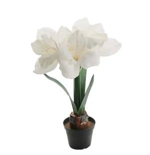 AMARYLLIS VIT I KRUKA 45 cm KONSTVÄXT kuva