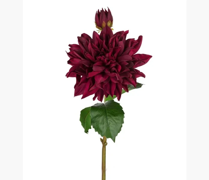 Dahlia Burgundy 70 cm real touch kuva