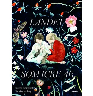 Landet som icke är image