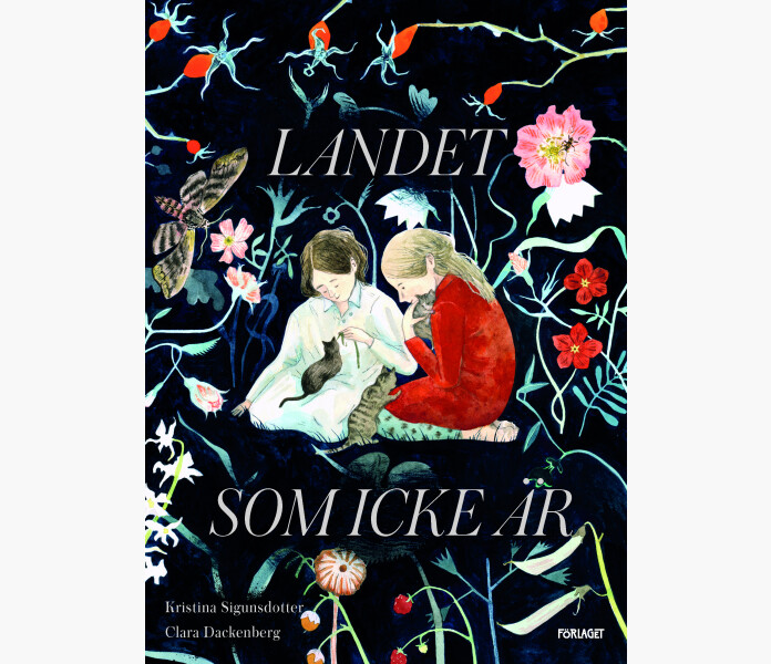 LANDET SOM ICKE AR image