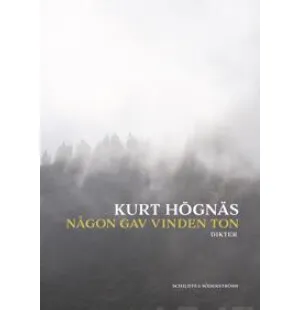 NÅGON GAV VINDEN TON kuva